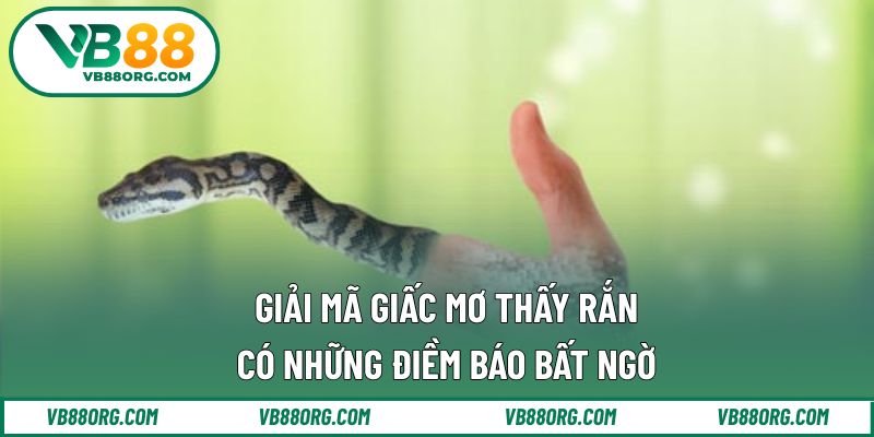 giải mã giấc mơ thấy rắn
