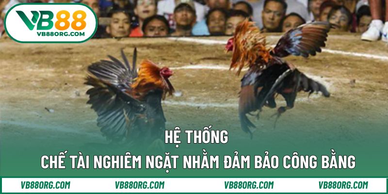 Hệ thống chế tài nghiêm ngặt nhằm đảm bảo công bằng