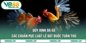 quy định đá gà